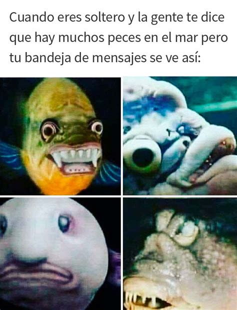 20 Memes muy acertados que resumen lo que es。